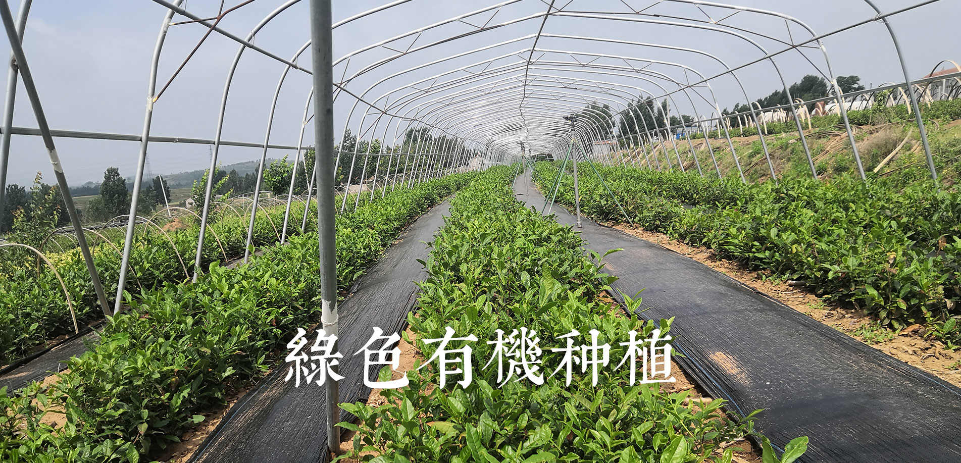 泰安市建川太陽(yáng)能有限公司