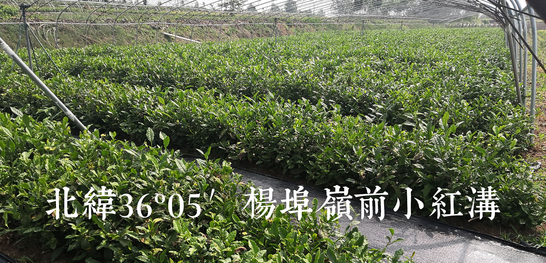泰安市建川太陽(yáng)能有限公司